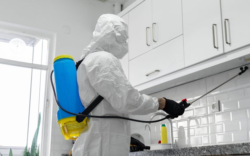 Désinsectisation professionnelle IDF